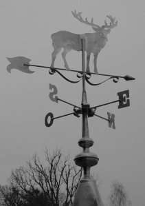 girouette zinc et points cardinaux